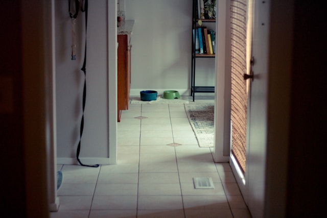 Regular House Cleaning